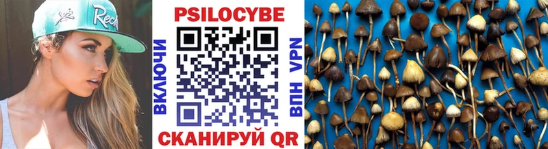 Галлюциногенные грибы Psilocybine cubensis  Яблоновский 